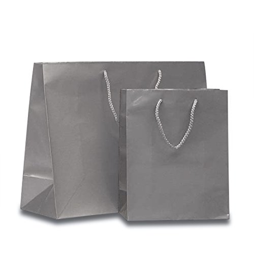 Premium Silver Euro Bags 8