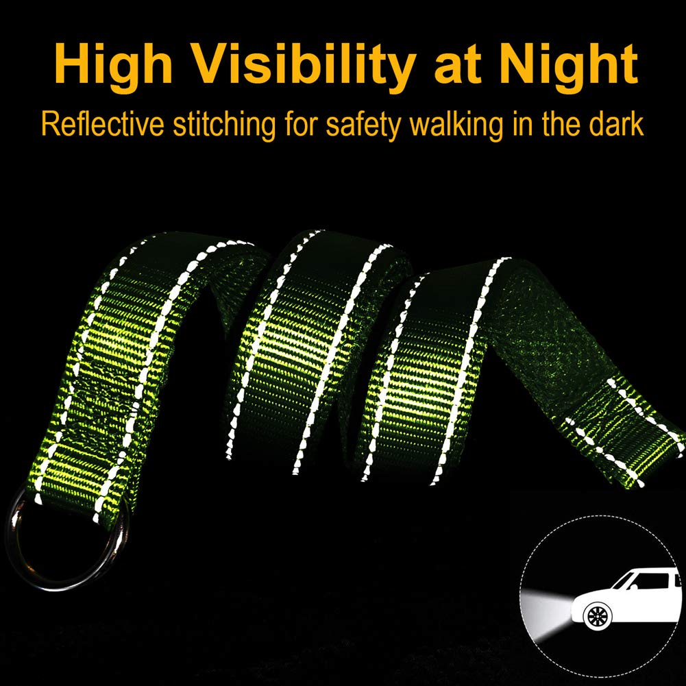 Reflective Dog Leash & Collar for Small Medium Dogs - Training & Night Walking Safety