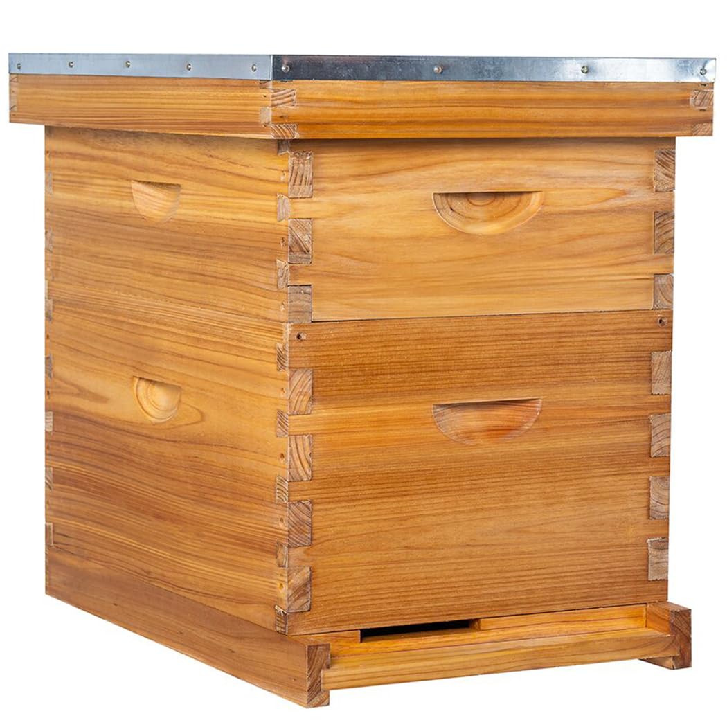 POLLIBEE 8 Frame Beehive Starter Kit - Unassembled Langstroth Bee Hive with 1 Deep & 1 Medium Box, Beeswax Coated Frames & Foundation - Complete Beekeeping Supplies for Beginners | Perfect for Backyard Honey Production & Pollination