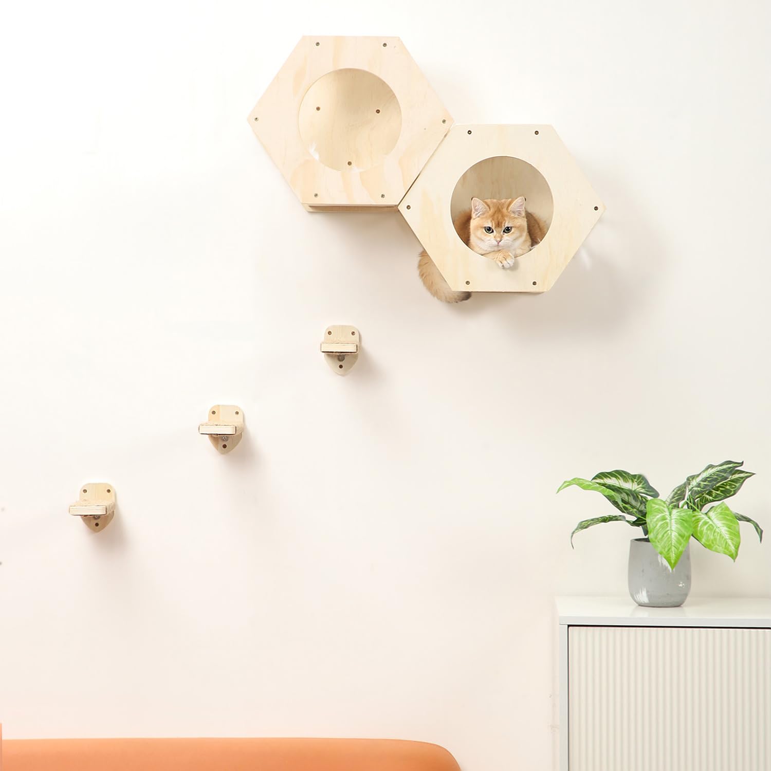 Premium Cat Wall Shelves with 3-Step Scratcher & Plush Hammock - Natural Wood Climbing Shelves for Indoor Cats - Wall Mounted Cat Furniture for Play, Rest & Vertical Space Exploration