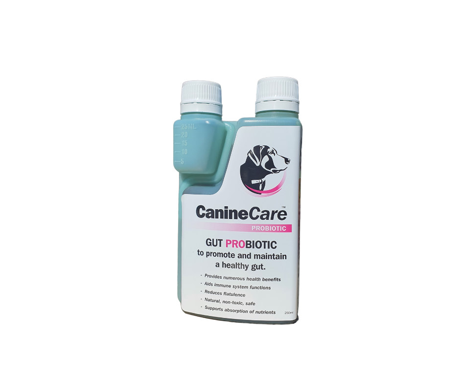 CanineCare Gut Prebiotic for Dogs - 250ml Digestive Supplement | Supports Healthy Digestion & Gut Flora | Ideal for Sensitive Stomachs & Dietary Transitions