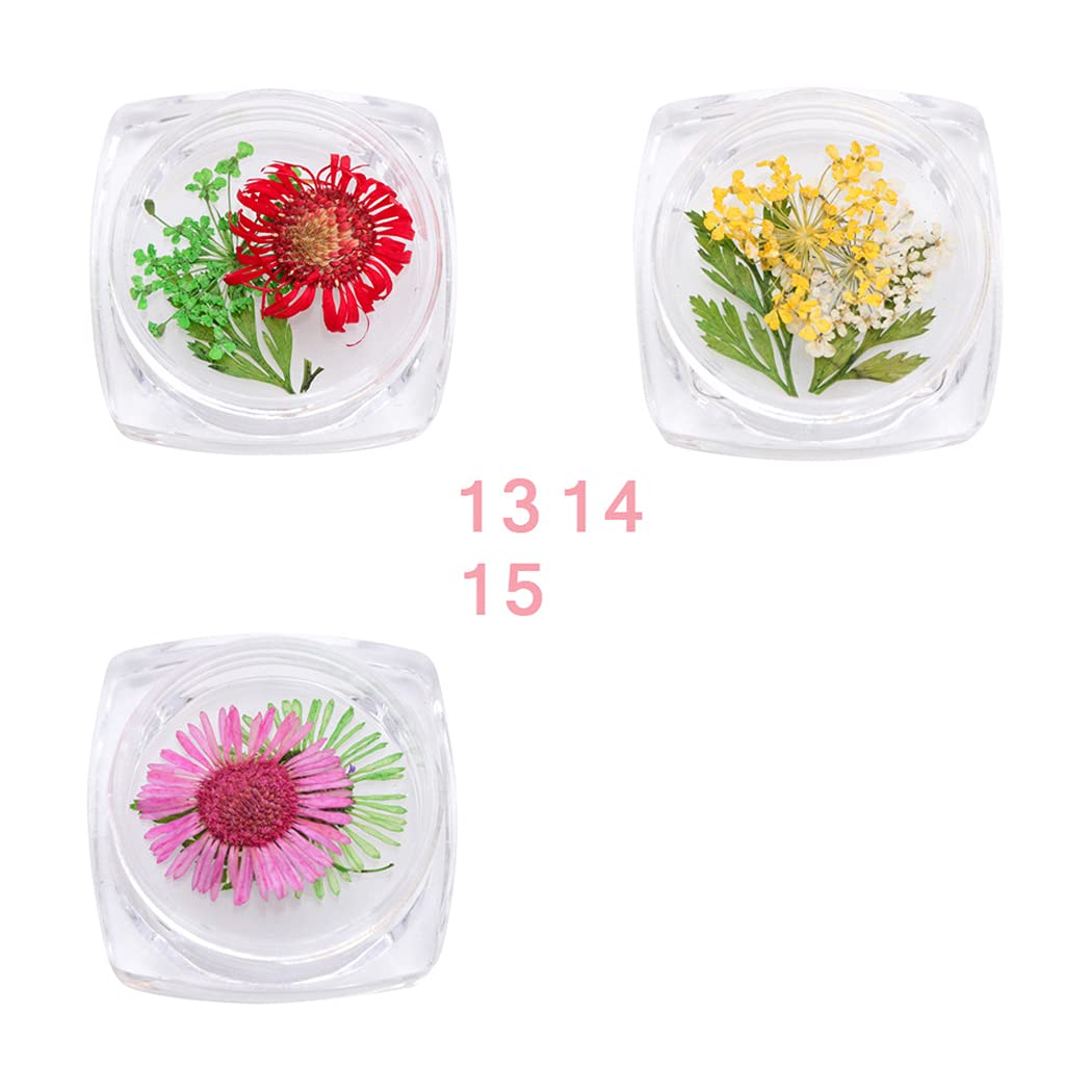 SOWUNO 3D Dried Flower Nail Art Decorations for Manicure - DIY Nail Design