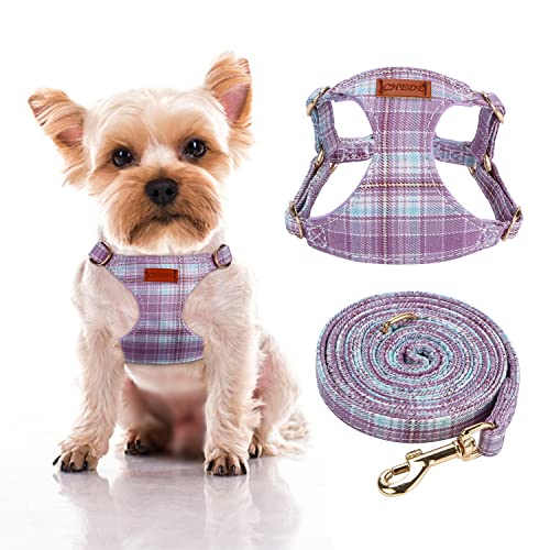 Purple Grid