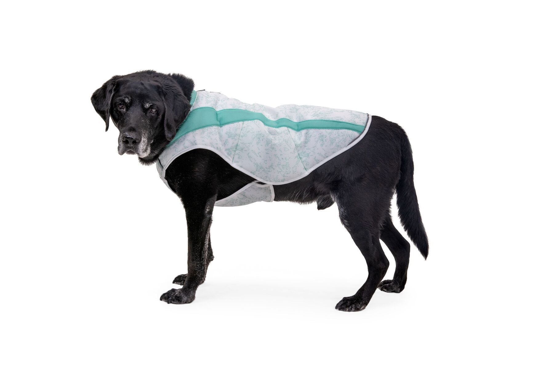 Ruffwear® Swamp Cooler Vest - Sage Green Cooling Dog Vest for Hot Weather | Outdoor Hiking, Running & Summer Adventures
