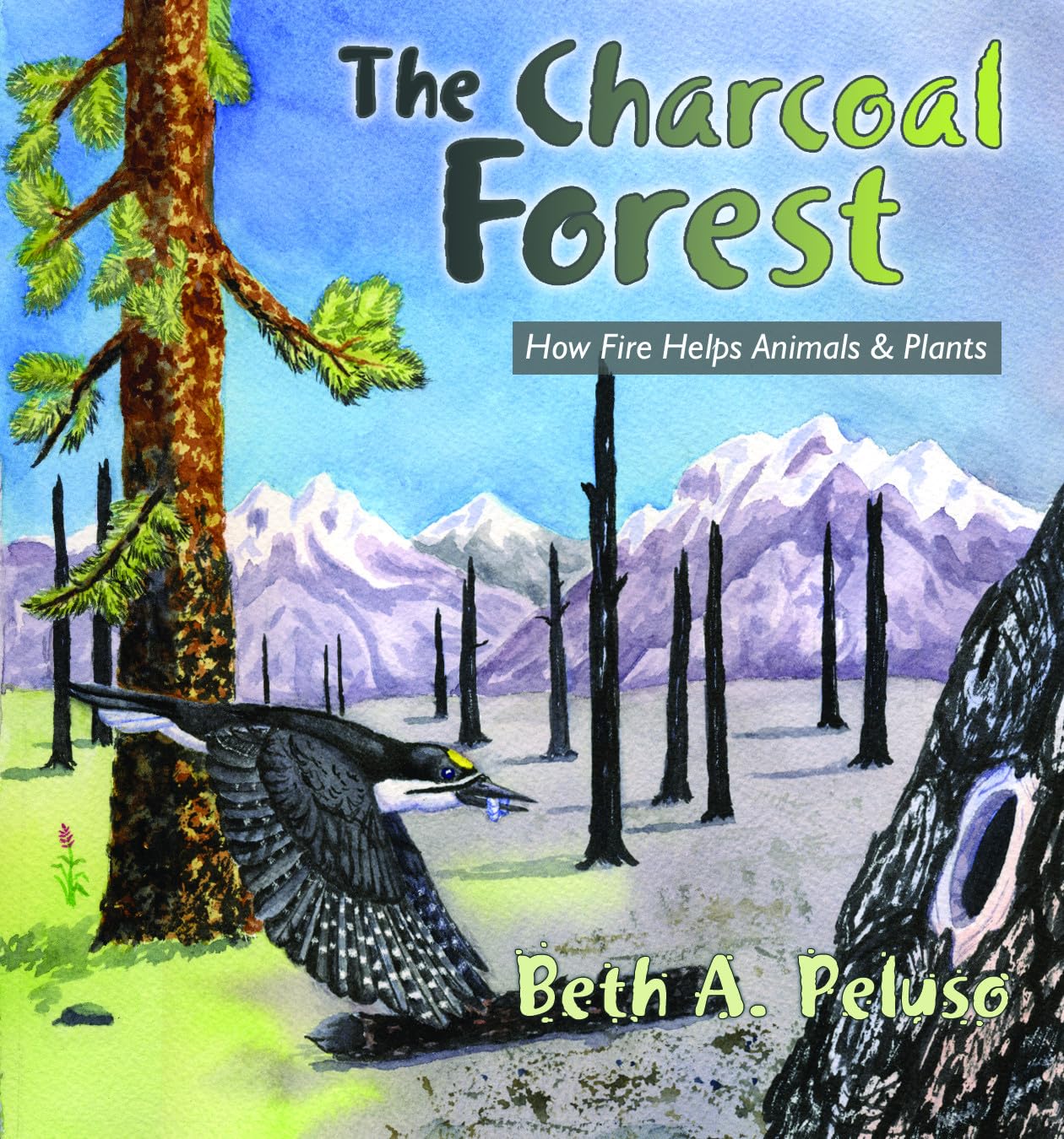 Charcoal Forest: How Wildfires Benefit Animals and Plants | Ecological Impact & Forest Regeneration | Perfect for Nature Education & Environmental Studies