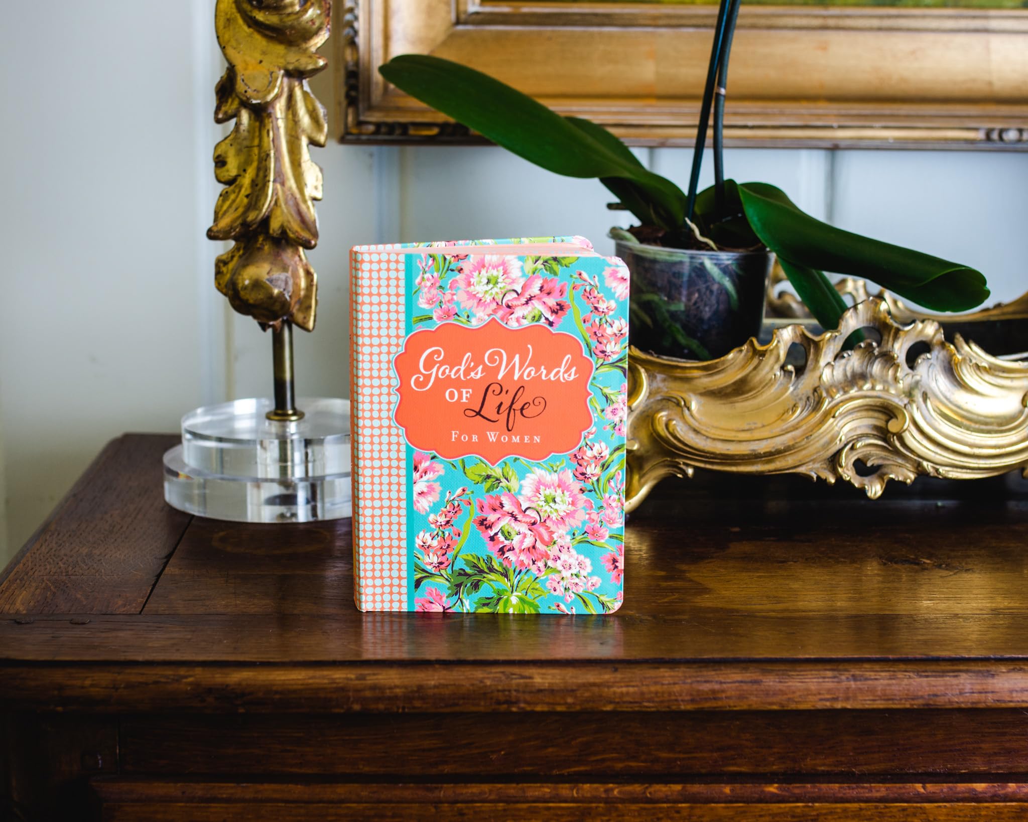 Women's Devotional Bible - Daily Inspirational Verses for All Seasons