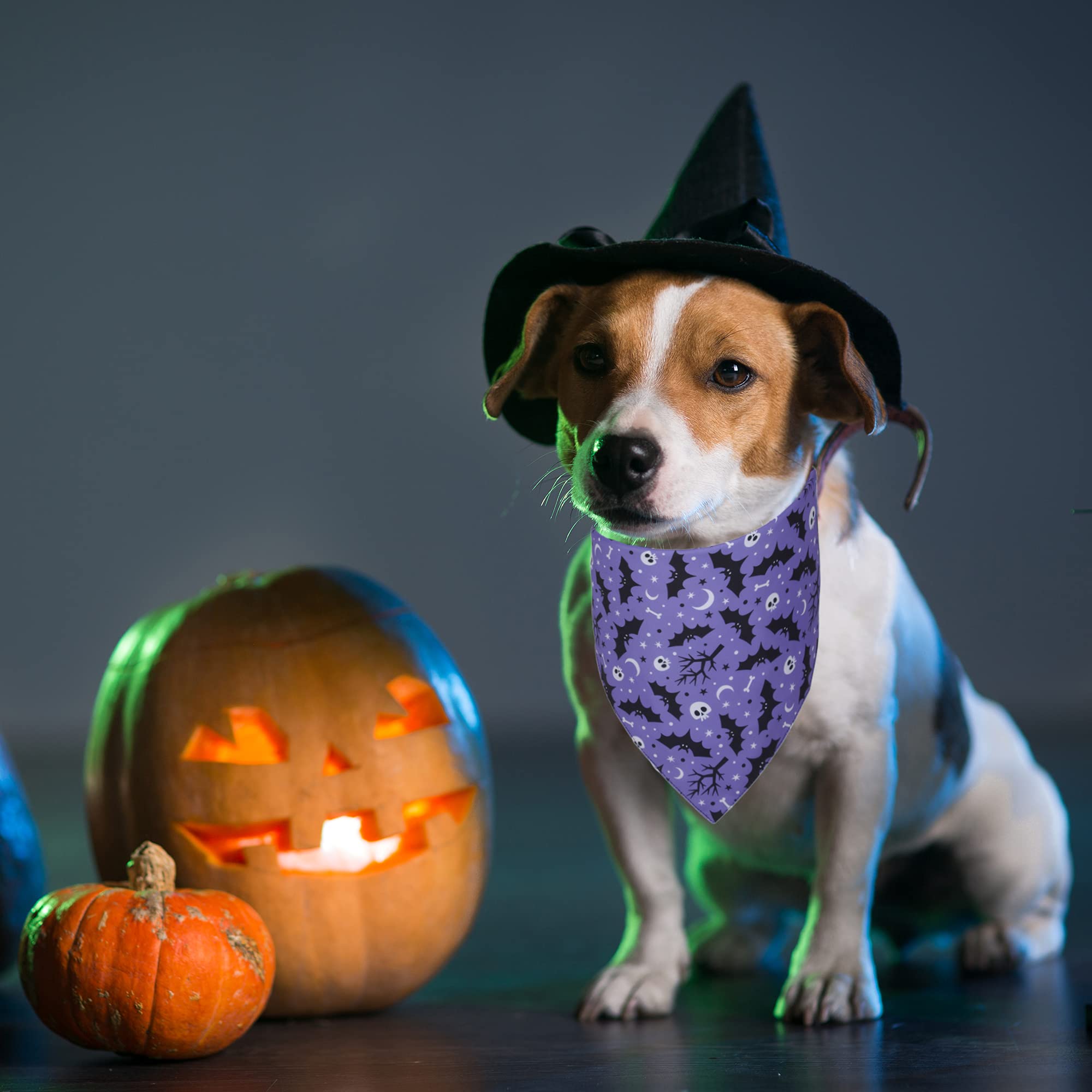 ADOGGYGO 2 Pack Reversible Halloween Dog Bandanas - Triangle Pet Scarf for Medium & Large Dogs - Cute Halloween Costume Accessories (Large, Halloween-2) - Perfect for Trick-or-Treating, Pet Parties & Photo Shoots