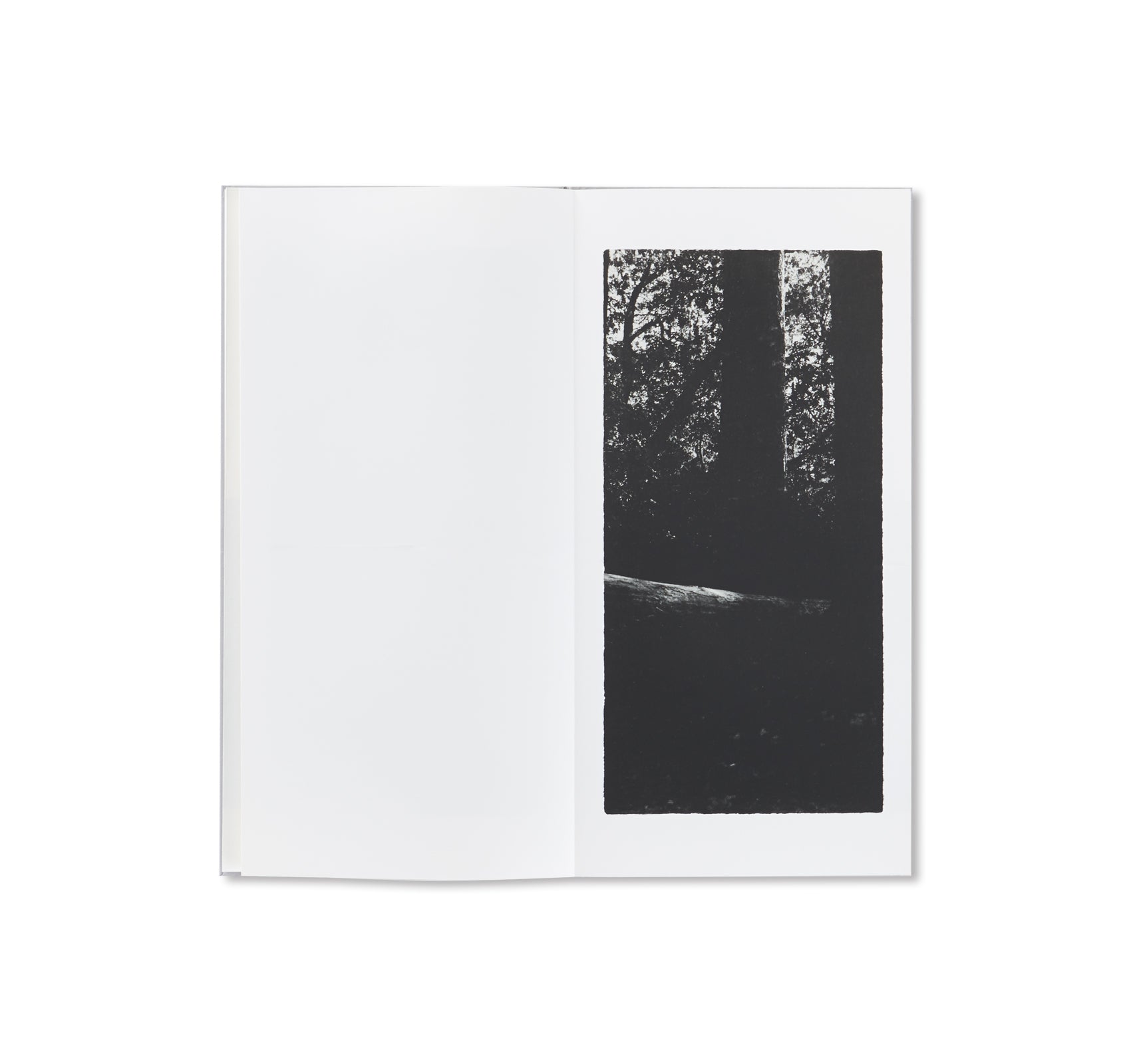 OPENING by Jungjin Lee - Stunning Art Book for Home Decor, Office Display & Gift Ideas | Explore Contemporary Photography & Unique Aesthetic