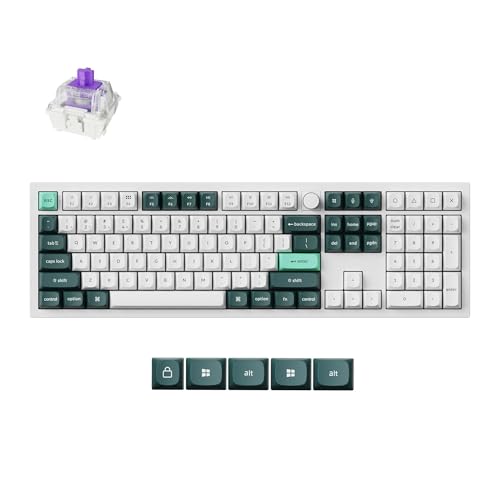 Shell White