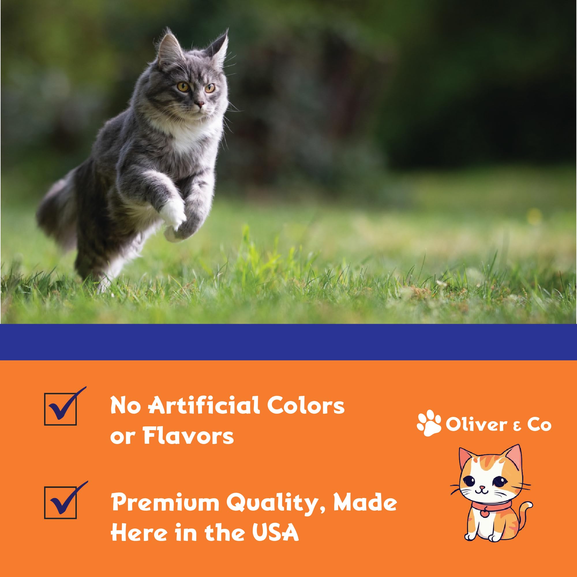 Natural Antibiotics for Cats - Immune Support & UTI Relief - Chicken Flavor (1 fl oz) - Essential Pet Supplement for Daily Health & Wellness