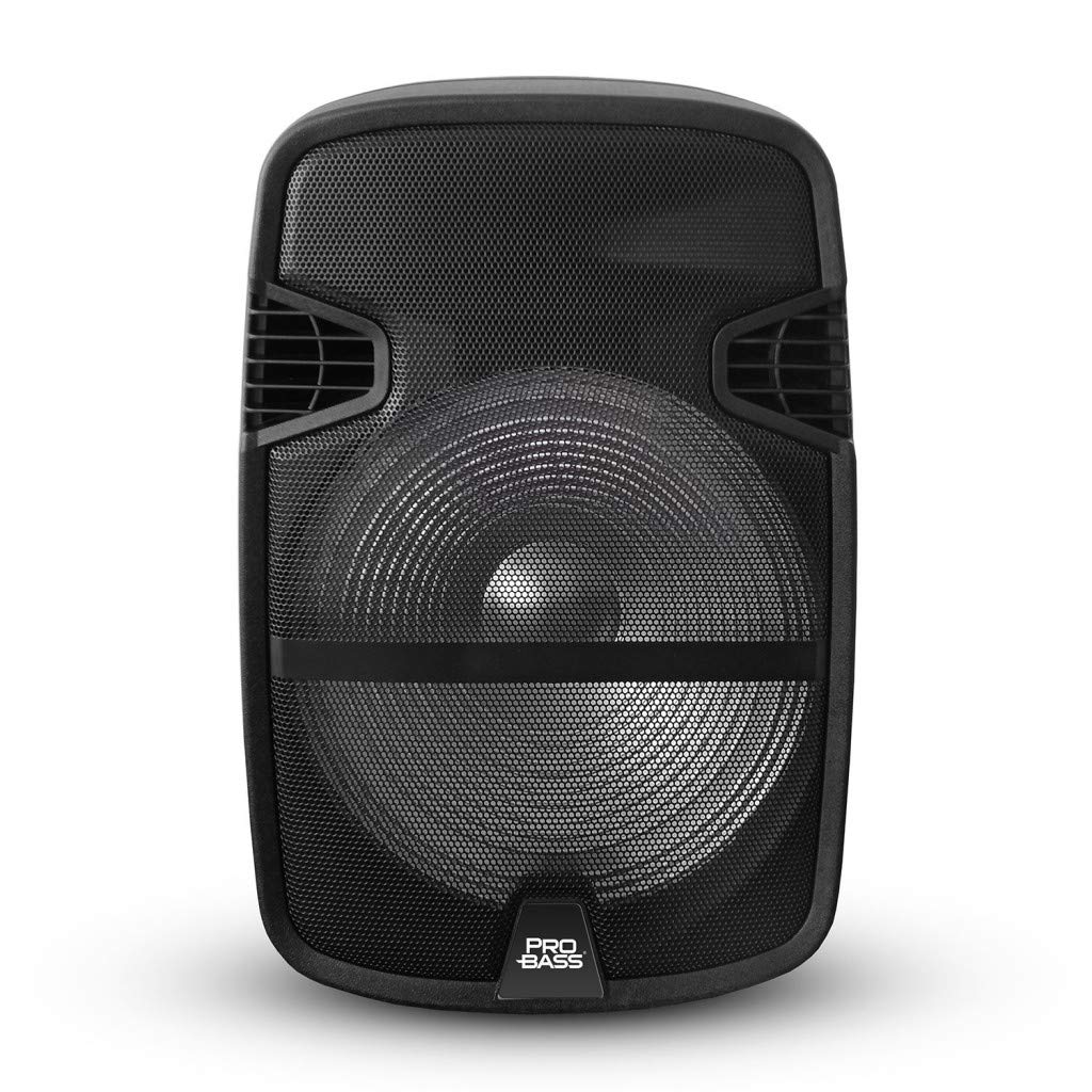 Pro Bass Street 15 Portable Bluetooth Speaker - 1000W Powerful Travel Sound System with TWS Stereo, LED Lights & Mic - Perfect for Outdoor Parties, Beach Trips & Home Entertainment