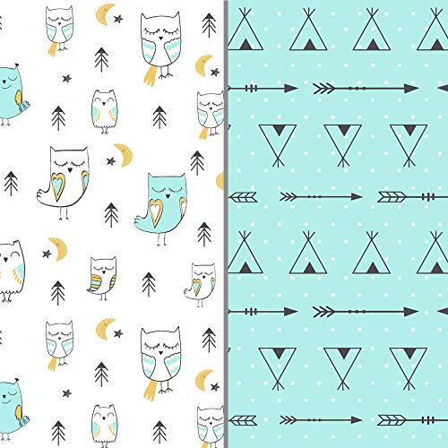 Arrow Owl
