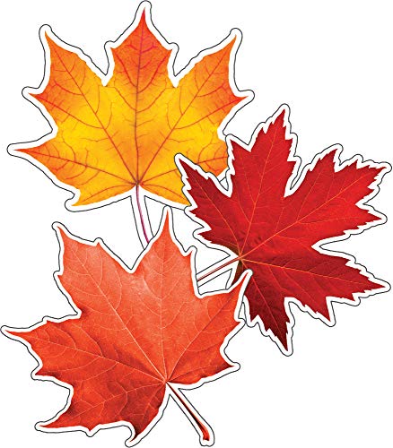 Fall Leaves
