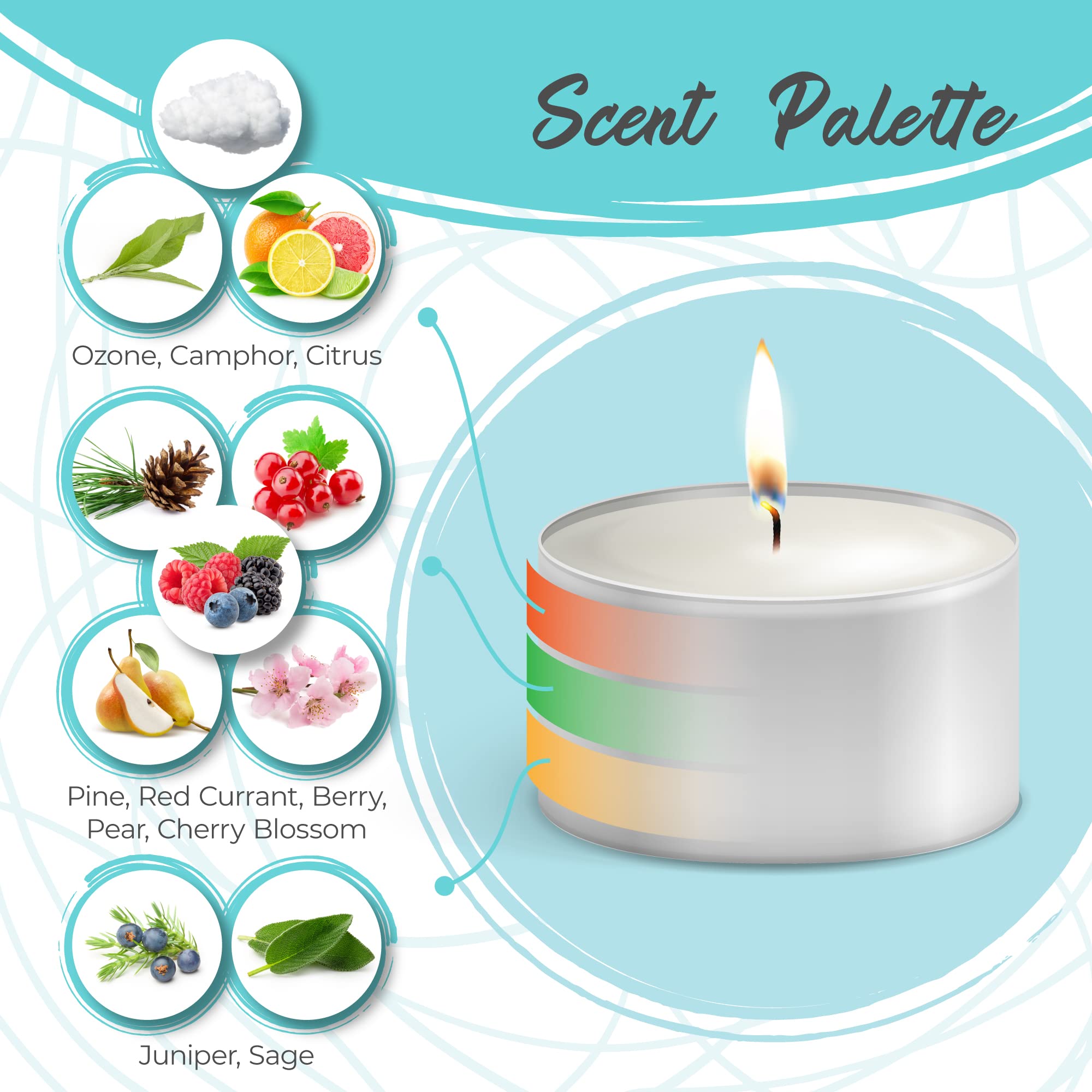 Moonlight Makers I Wet My Plants Candle - Frosted Juniper Scented Handmade Soy Wax Candle in 8oz Tin | 25+ Hour Burn Time | Natural Home Decor & Relaxation Gift for Plant Lovers
