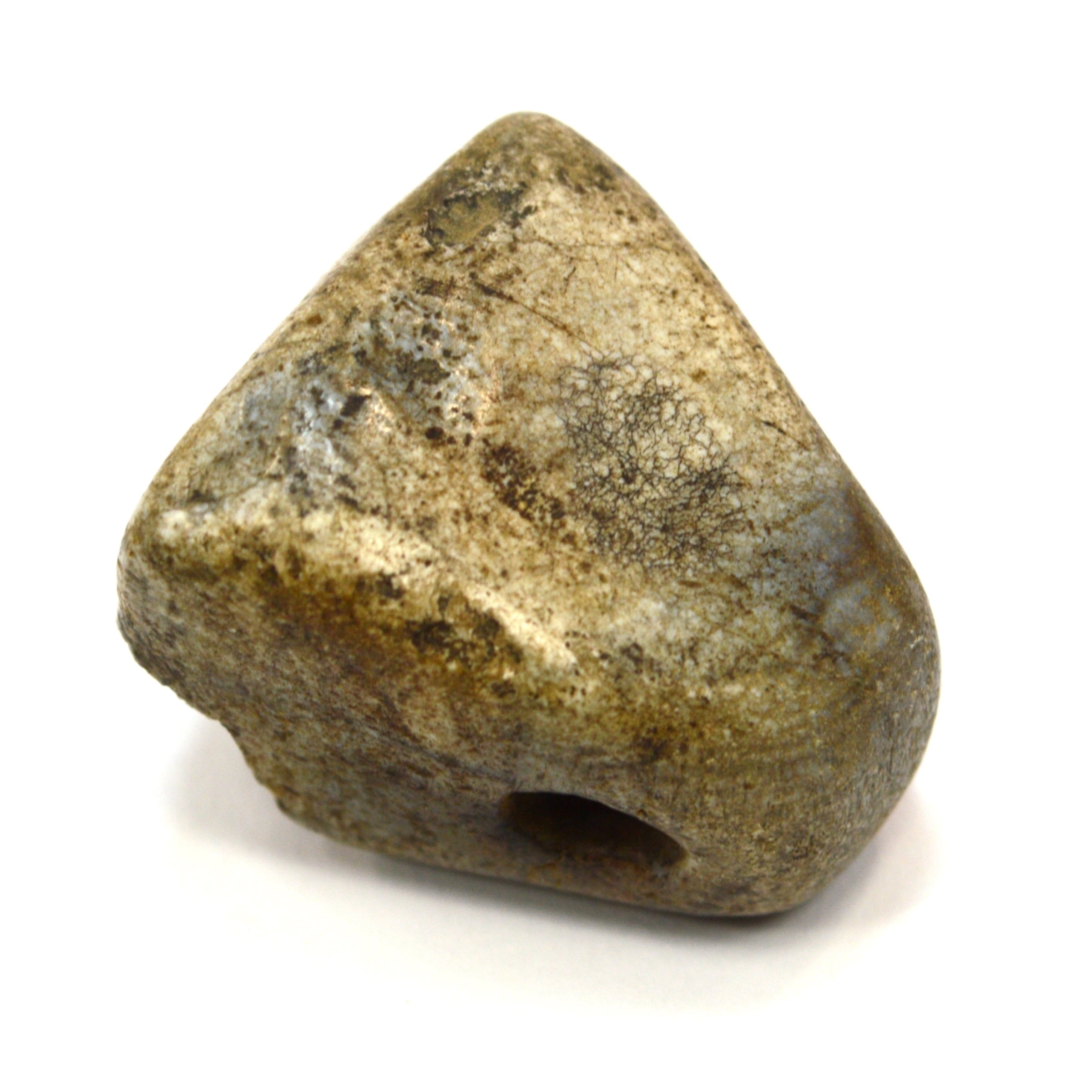 Ancient Near East Steatite Conoid Seal Stamp - Authentic Tel Megiddo Artifact with Dog/Cat/Hyena Animal Carving | Perfect for Archaeology Collectors, History Enthusiasts & Ancient Artifact Displays