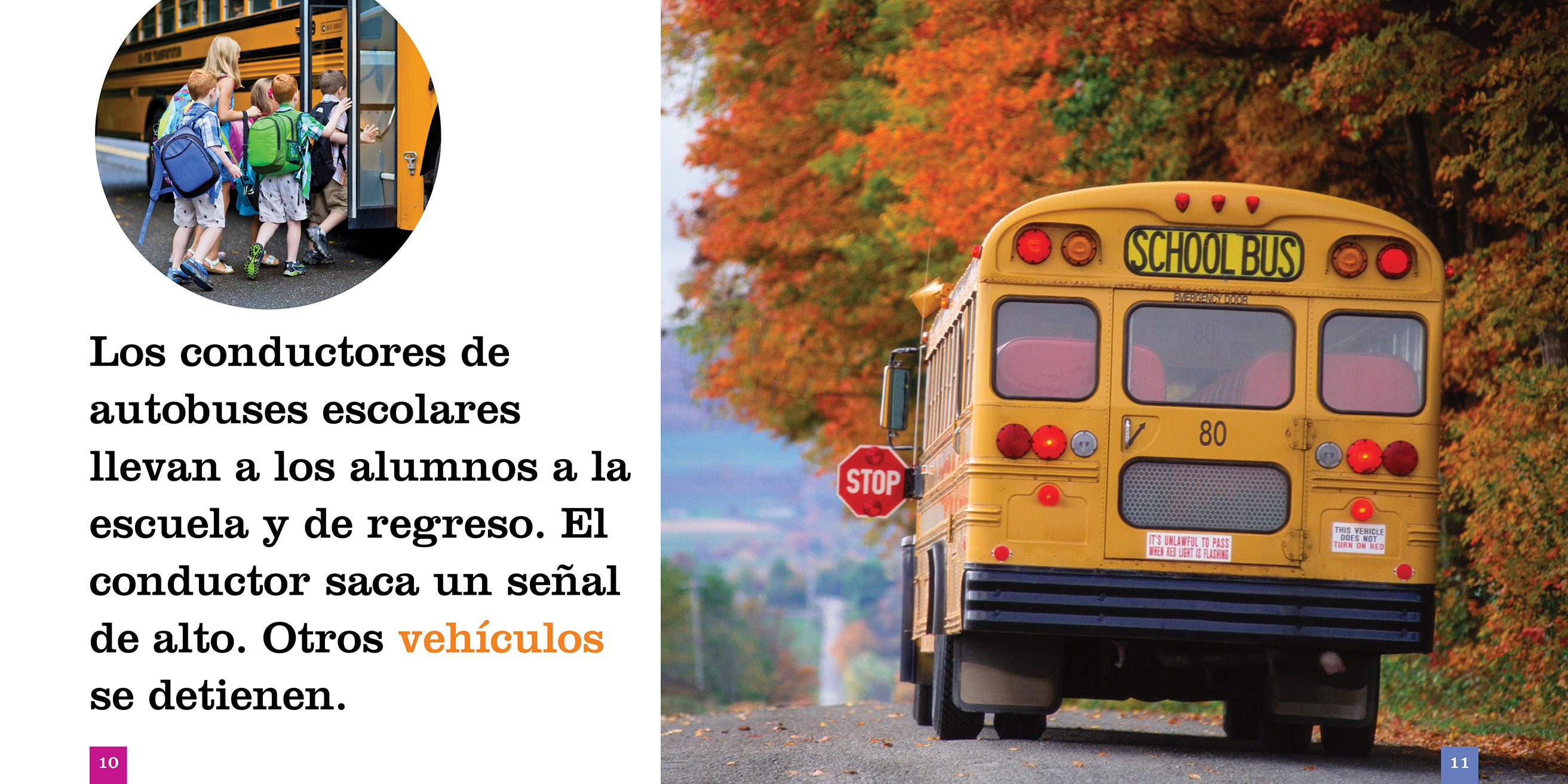 Professional Bus Driver Gloves - Durable & Comfortable for Long Shifts - Perfect for School Bus, Transit & Charter Drivers - Ideal for Cold Weather & Safety Grip