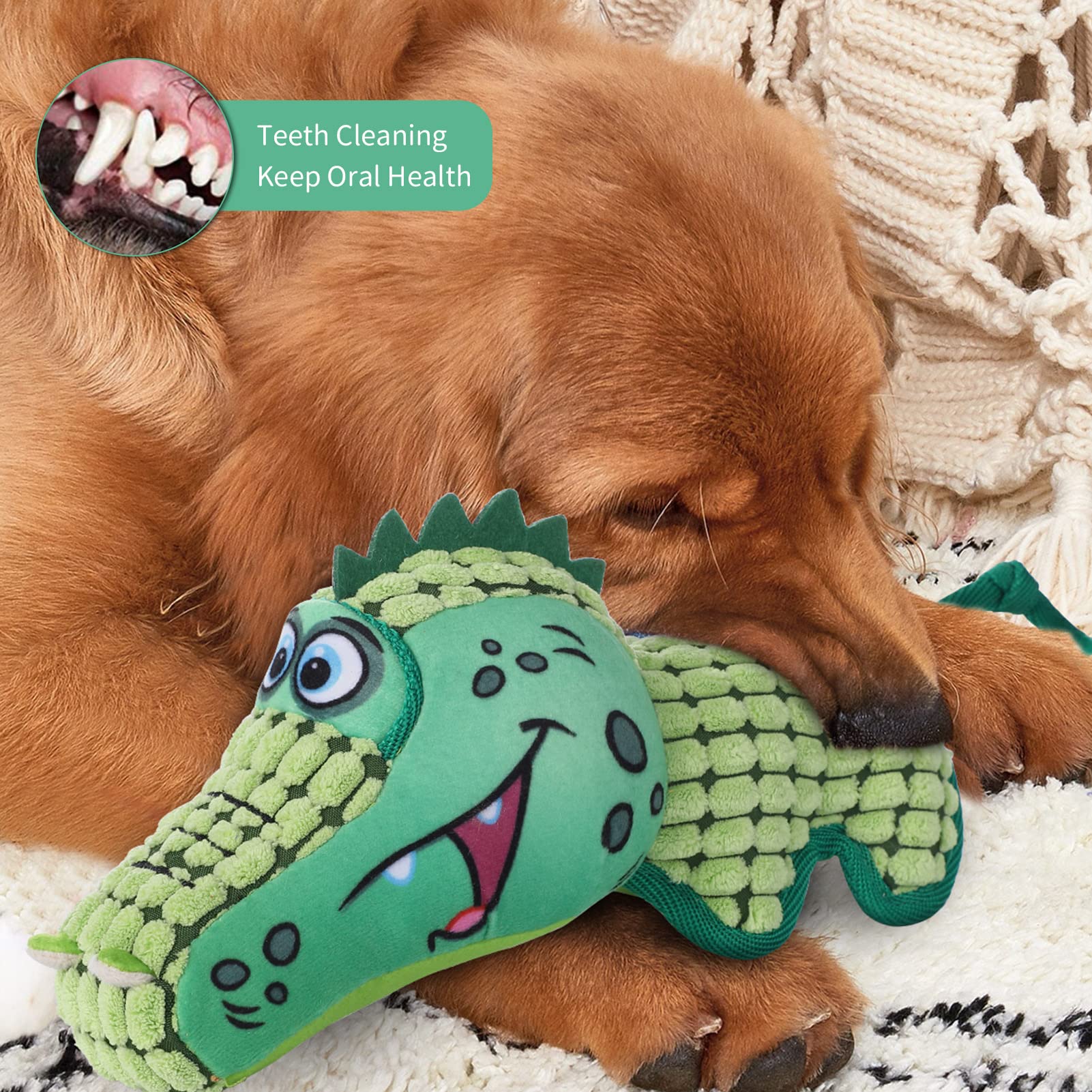 Durable GAOMON Squeaky Dog Toys for Small & Medium Dogs - Interactive Plush Chew & Tug of War Play Toy for Indoor & Outdoor Puppy Playtime