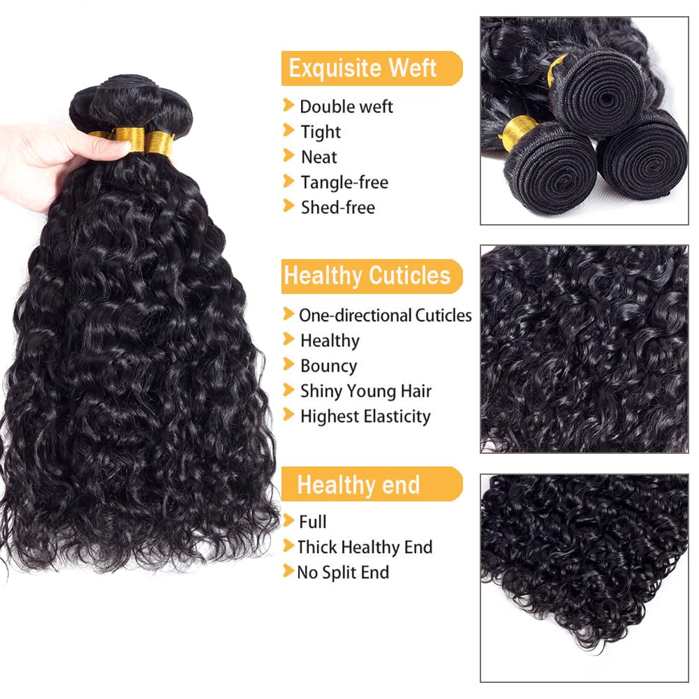 Brazilian Remy Water Wave Human Hair Bundles 10A - 3 Bundles Unprocessed Curly Human Hair Extensions - Double Weft Natural Color (22/24/26 Inch) for Black Women - Perfect for Protective Styles, Weaves & Natural Hair Blending