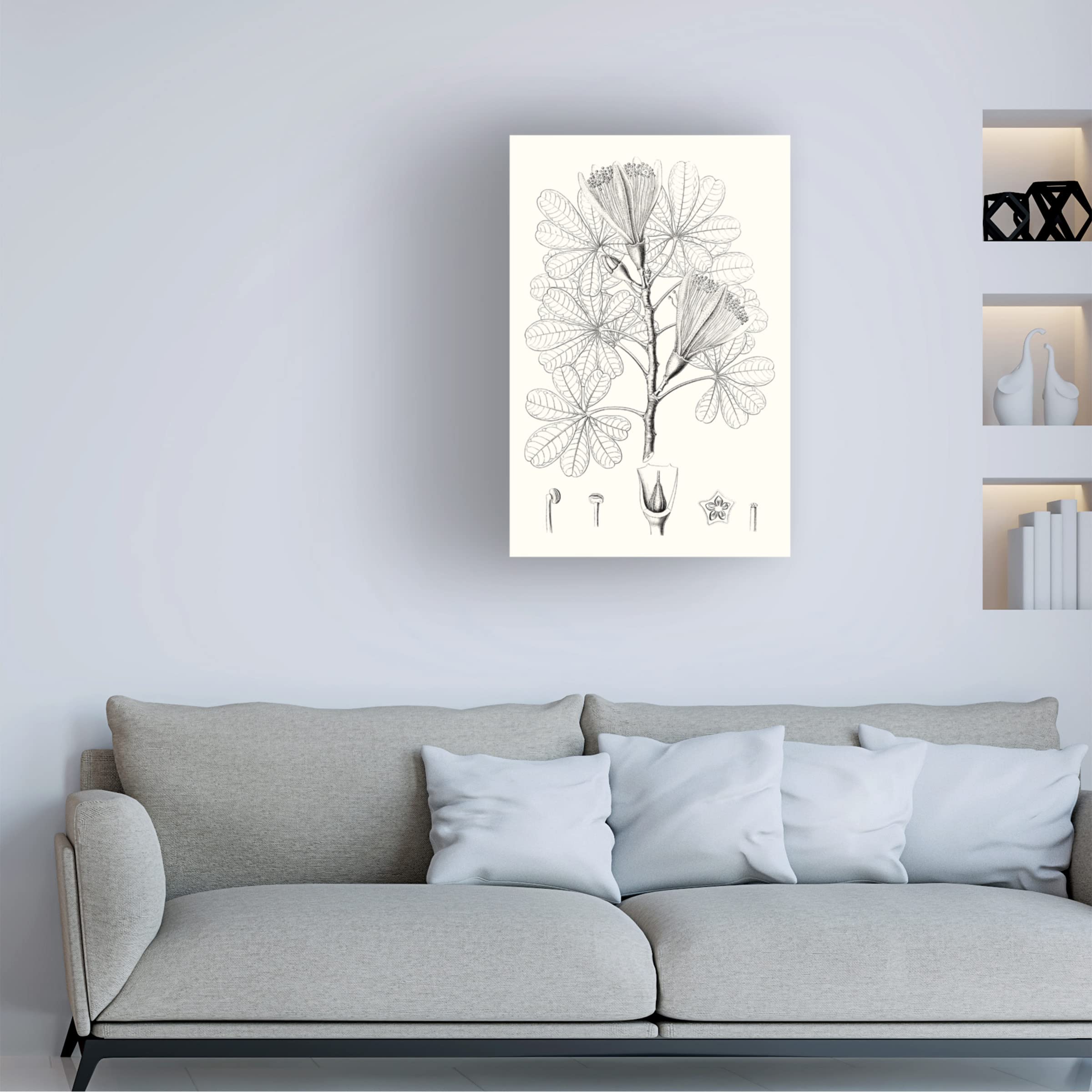 Trademark Fine Art 'Illustrative Leaves II' Canvas Wall Art Print by Vision Studio - Perfect for Living Room, Bedroom & Office Decor