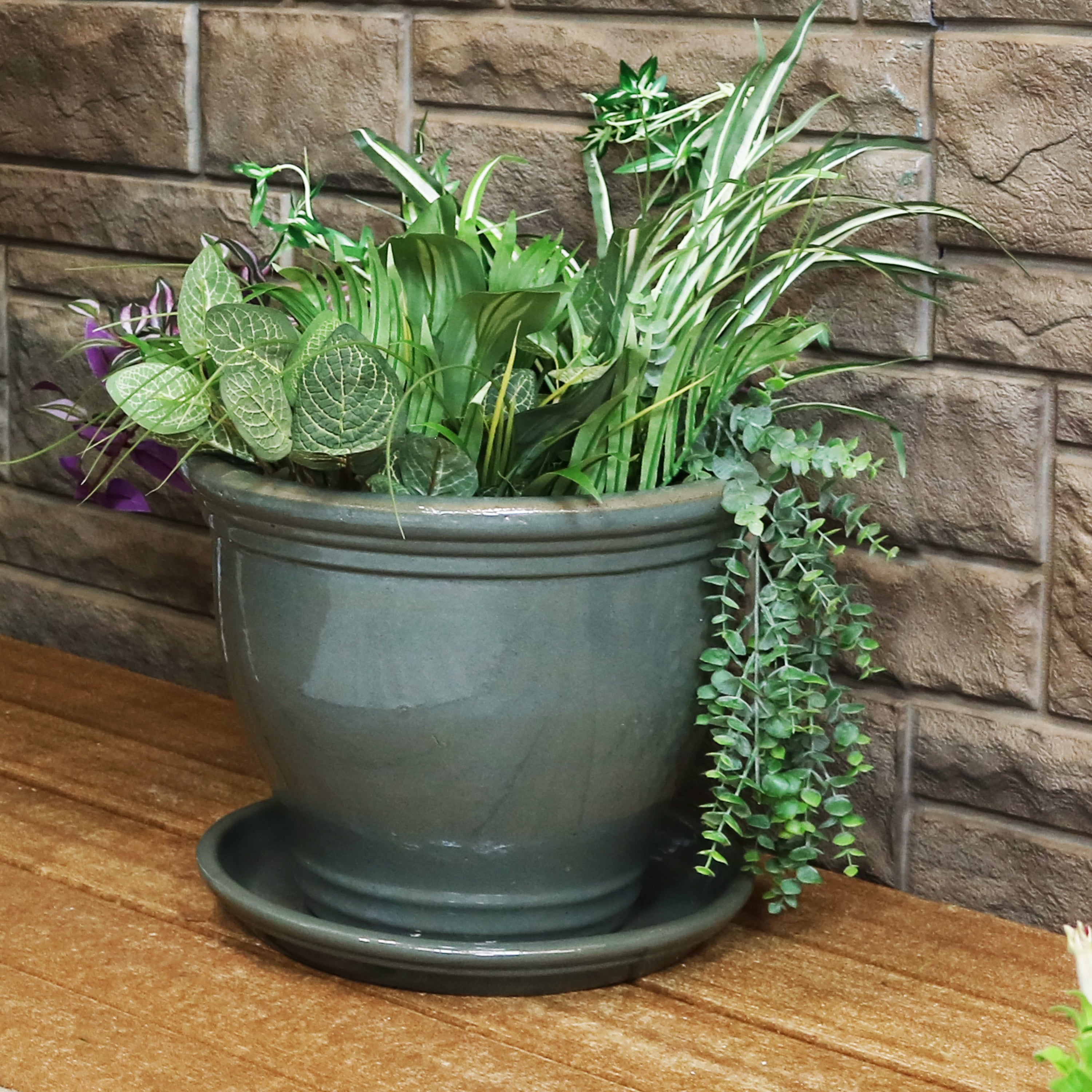 Sunnydaze Set of 2 Glazed Ceramic Planter Saucers - 6 Inch Flower Pot Trays for Indoor & Outdoor Plants - Perfect for Drainage and Protecting Surfaces
