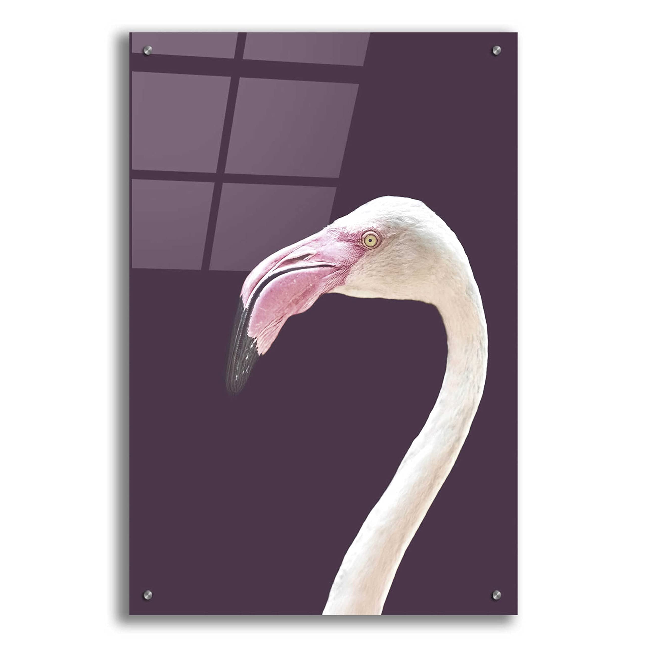 Epic 'The Flamingo' Acrylic Glass Wall Art by Design Fabrikken - 24x36 Inches Modern Home Decor for Living Room, Bedroom & Office