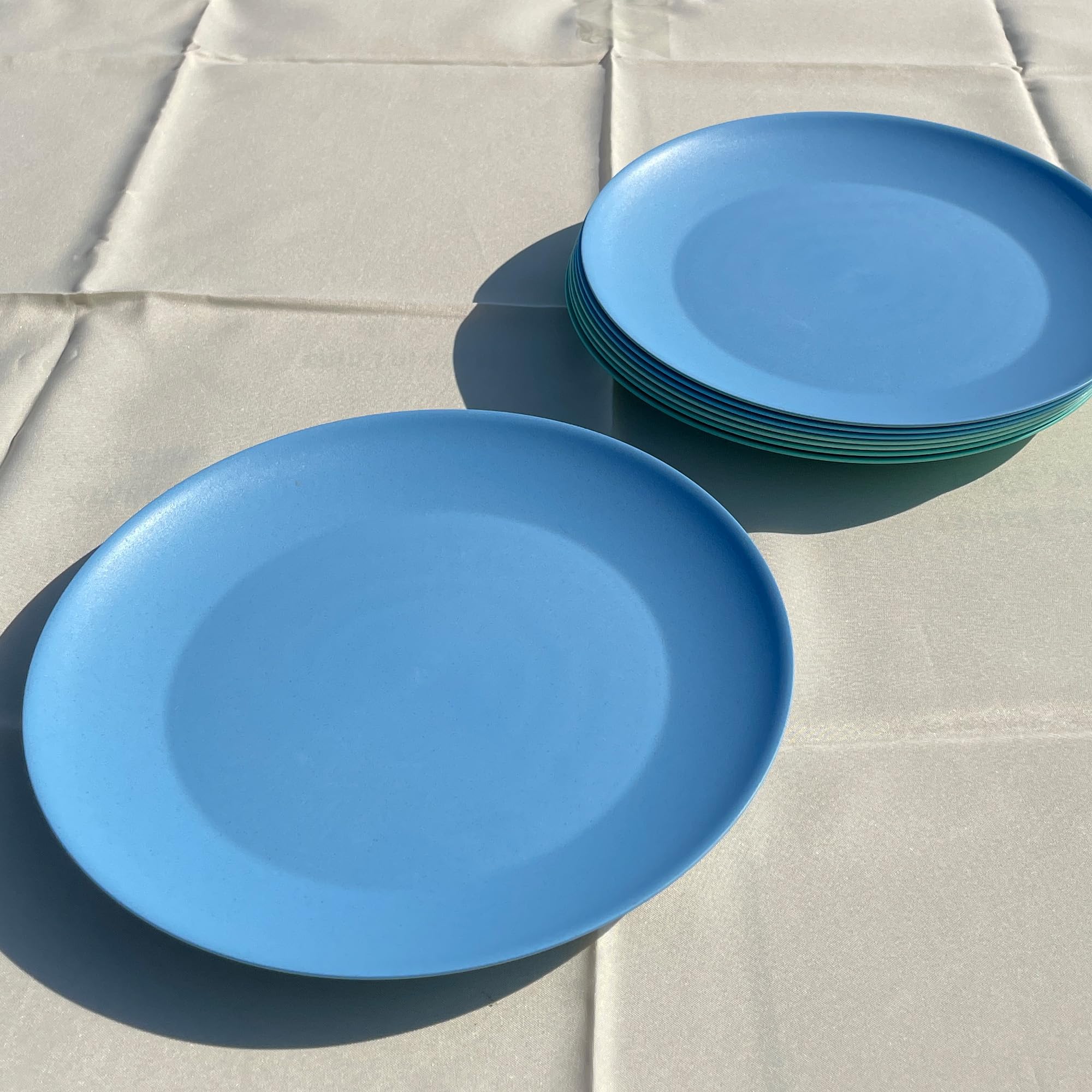 10 Inch Wheat Straw Plates - Unbreakable BPA-Free Dinnerware Set of 8, Dishwasher & Microwave Safe Reusable Plates for Camping, Picnics, Kids Meals & Everyday Use (4 Colors)