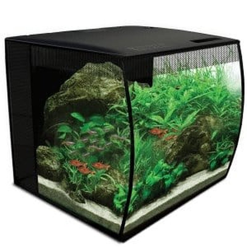 Fluval FLEX 9 Gallon Aquarium Kit with LED Lighting - Complete Fish Tank Starter Set for Beginners | Perfect for Home, Office & Classroom Decor