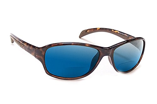Tortoise & Blue Mirror