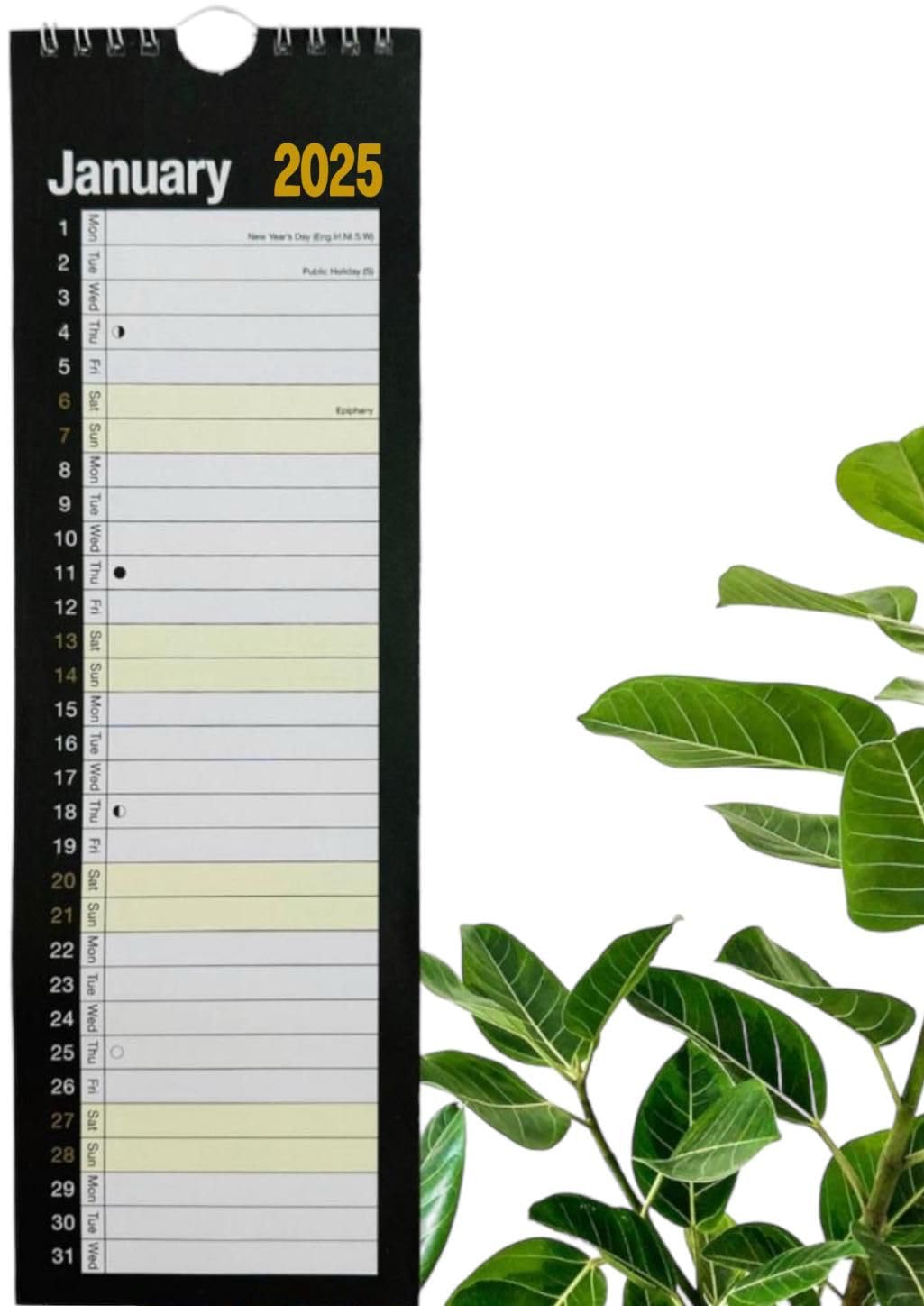 2025 Slim Monthly Wall Planner Calendar - Spiral Bound, Black & White Design - Perfect for Home, Office & School Organization