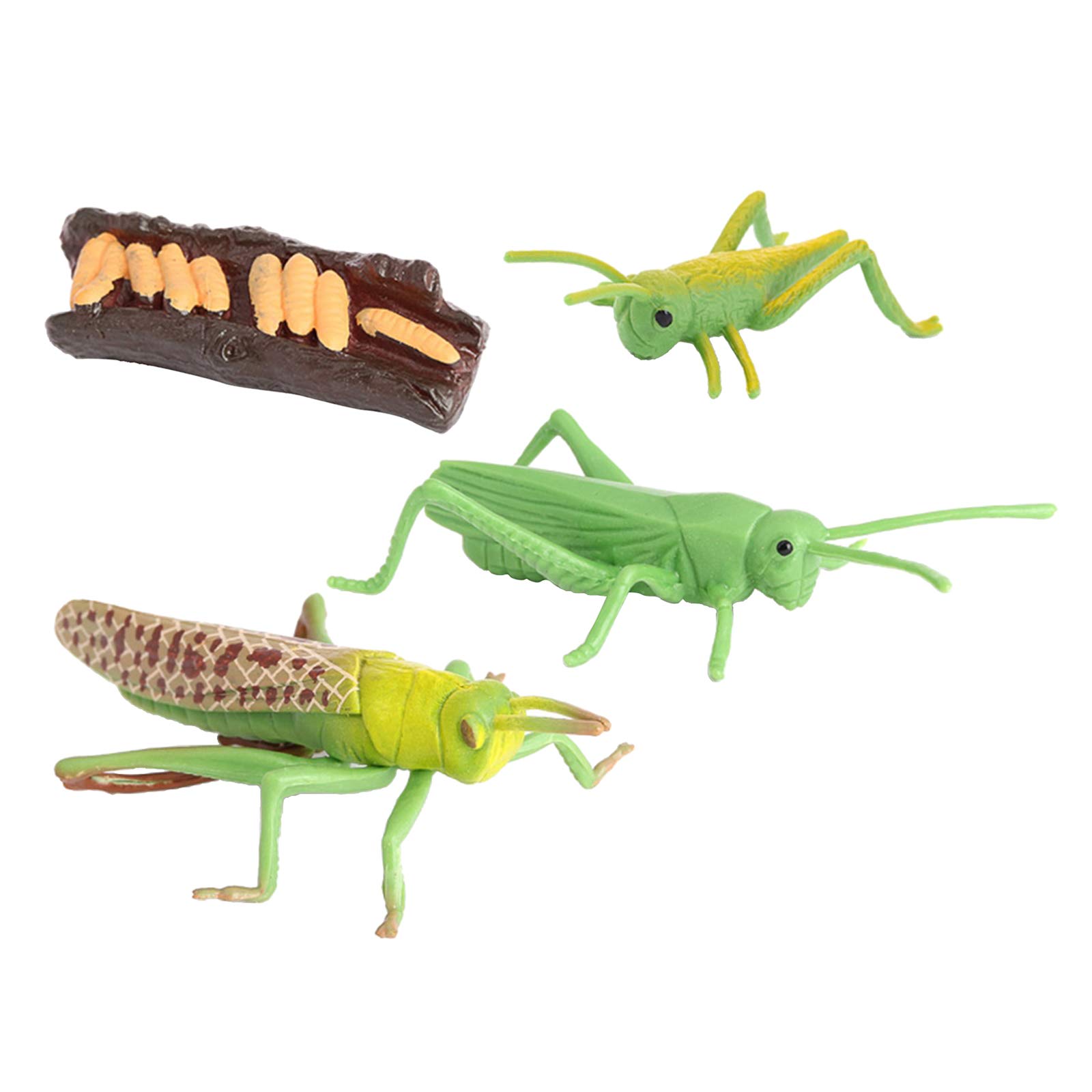 Nature Grasshopper Growth Life Cycle Playset - Educational STEM Toy for Kids, Insect Learning Kit for Science & Imagination Development - Perfect for Classroom, Homeschooling & Outdoor Exploration