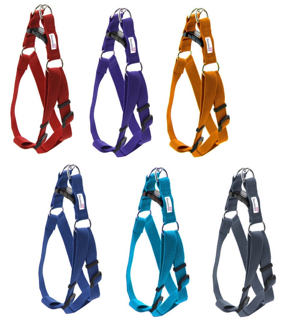 Vibrant Orange Adjustable Dog Harness - Durable & Long-Lasting Small Pet Harness for Walking, Training & Outdoor Adventures