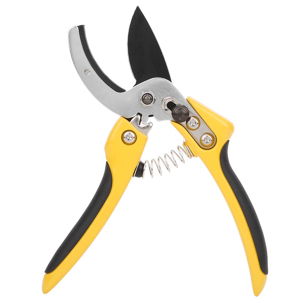 Delaman Bonsai Pruning Shears - High Carbon Steel Garden Scissors for Trimming Tree Branches, Fruit Trees & Plants | Perfect for Gardening, Landscaping & Bonsai Care