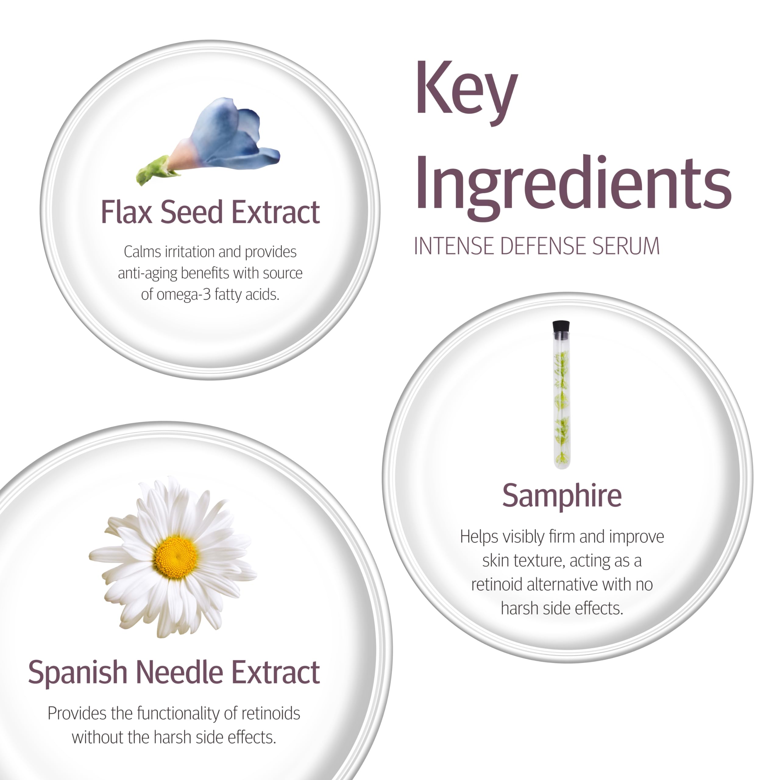 Epionce Intense Defense Serum - Anti-Aging Facial Serum with Vitamin C, E, D, A, B & Niacinamide | Dermatologist-Recommended Skincare for Wrinkles, Fine Lines & Dark Spots | Day & Night Use for Radiant Skin