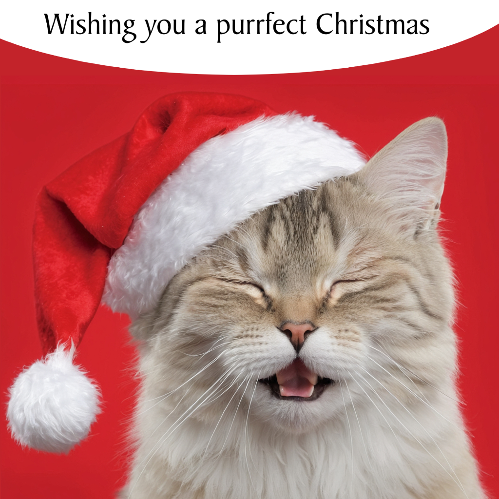 Purrfect Christmas Cat Greeting Card - Festive Holiday Cat Lover Card - Cute Feline Xmas Card for Cat Owners - Great for Holiday Wishes & Gifts