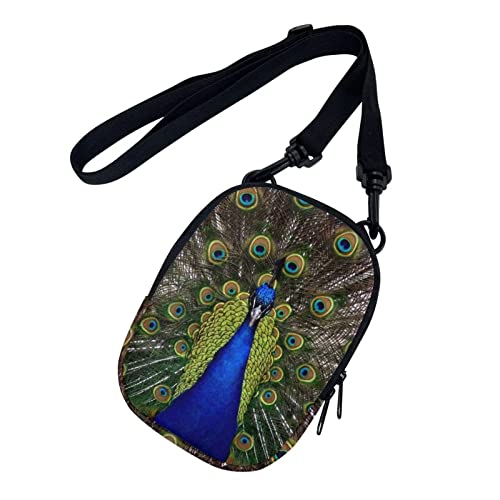 Animal Peacock
