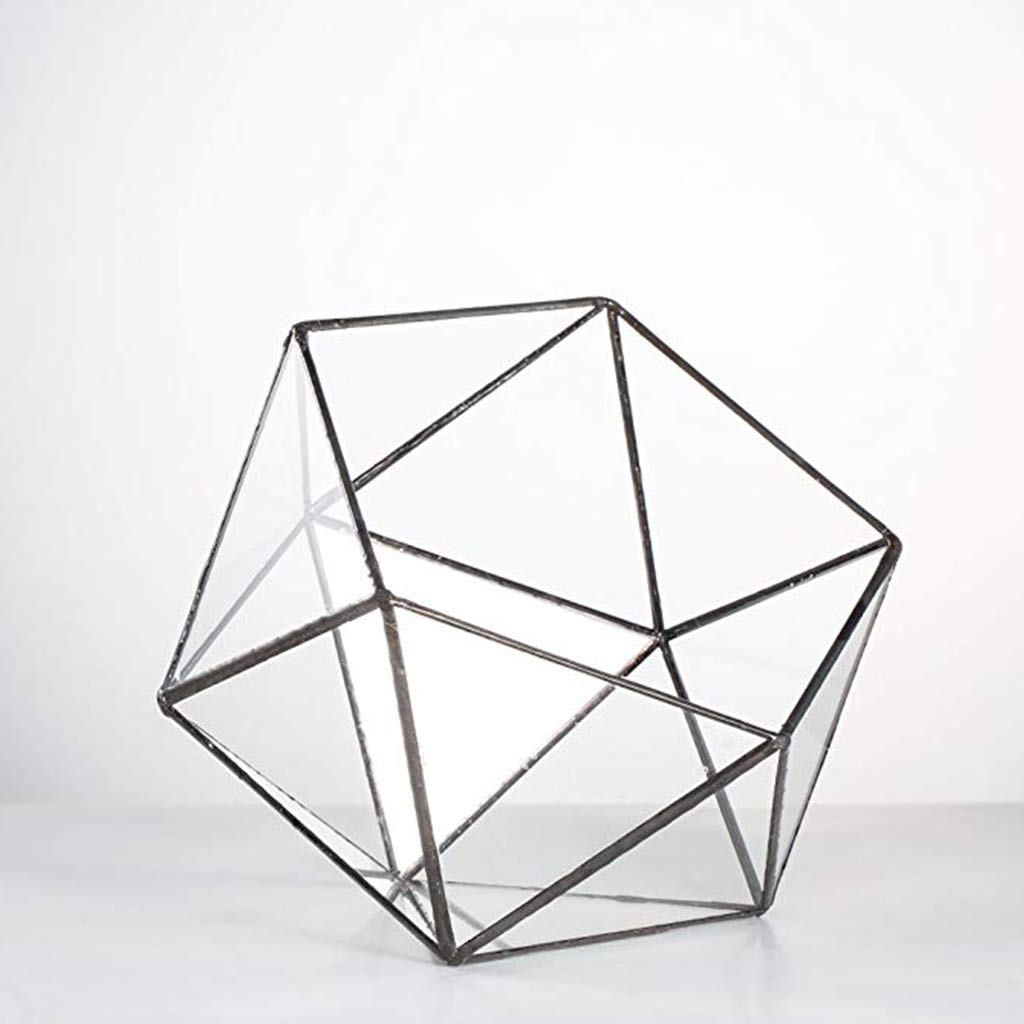 Glass Geometric Terrarium Box - Jewelry Holder & Succulent Planter for Home Decor (Black/Gold, No Plant Included) | Perfect for Tabletop Display, Wedding Centerpieces, and Office Desk Decor