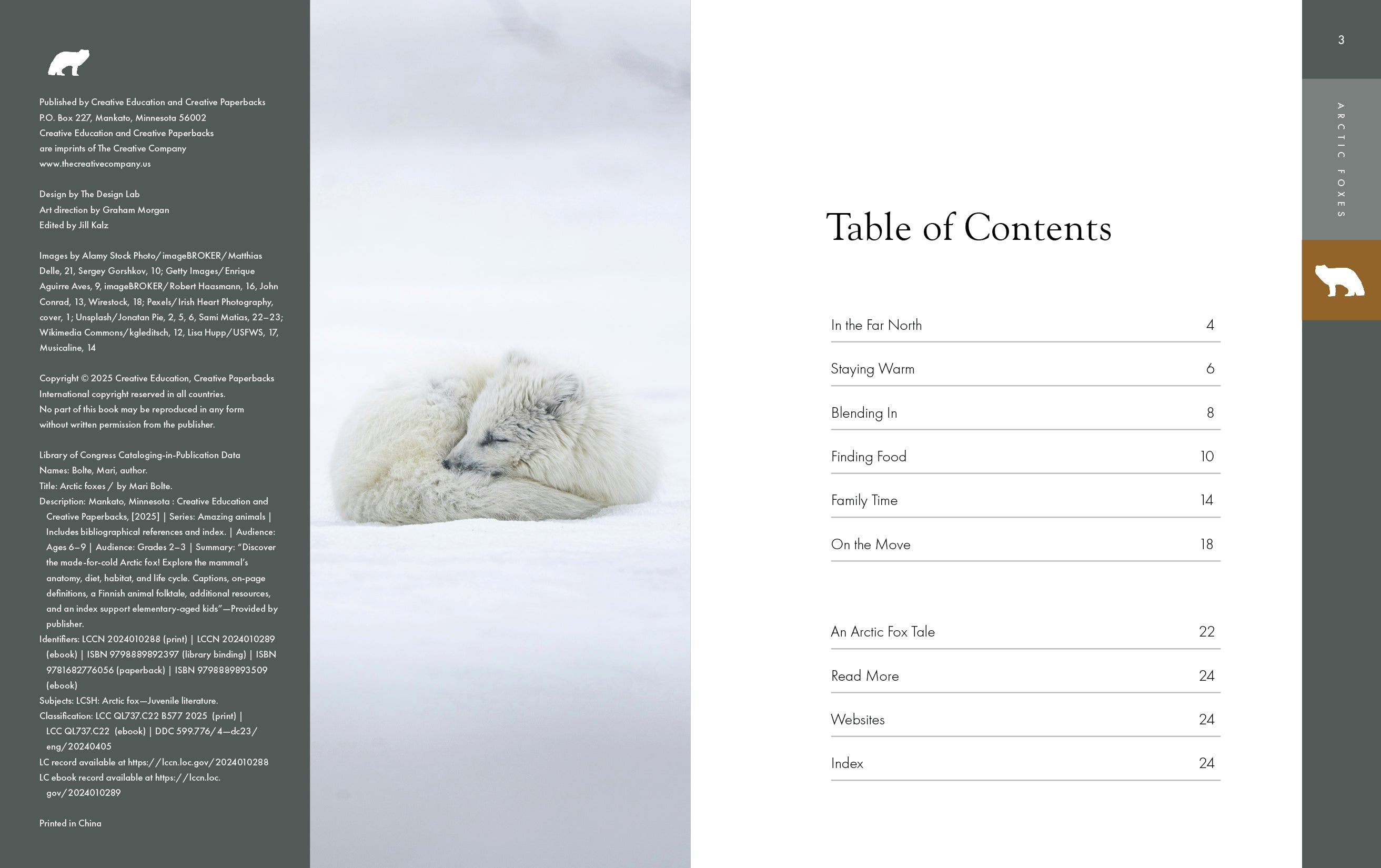 Arctic Foxes: Amazing Animals - Facts, Habitat & Adaptations 2025 | Perfect for Wildlife Enthusiasts & Nature Lovers