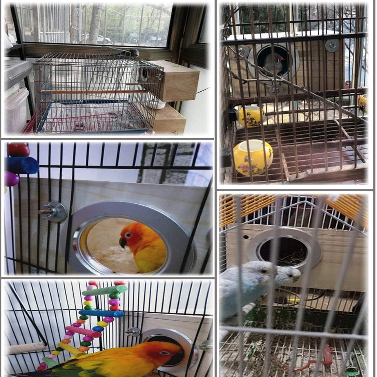 Hamiledyi 2PCS Wooden Parrot Nesting Box - Bird Breeding House for Lovebirds, Cockatiels, Conures, Cockatoos, Budgies, Finches & Canaries | Perfect for Mating, Breeding & Safe Bird Shelter