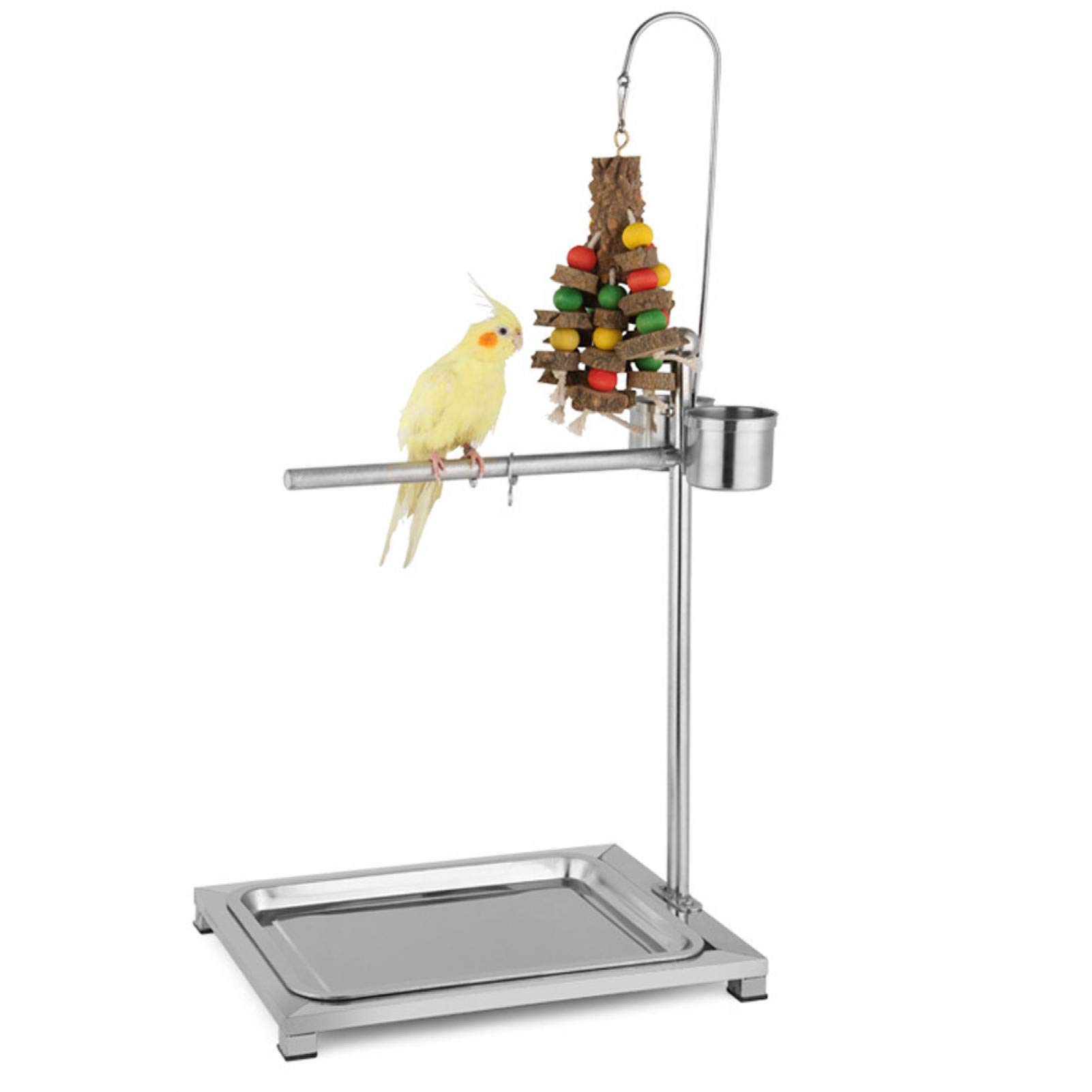 EVTSCAN Stainless Steel Bird Stand for Parrots - Training Perch with 2 Food Bowls (44 x 33 x 60cm) | Durable Bird Play Gym for Cockatiels, Macaws & Pet Birds | Perfect for Training, Feeding & Playtime at Home