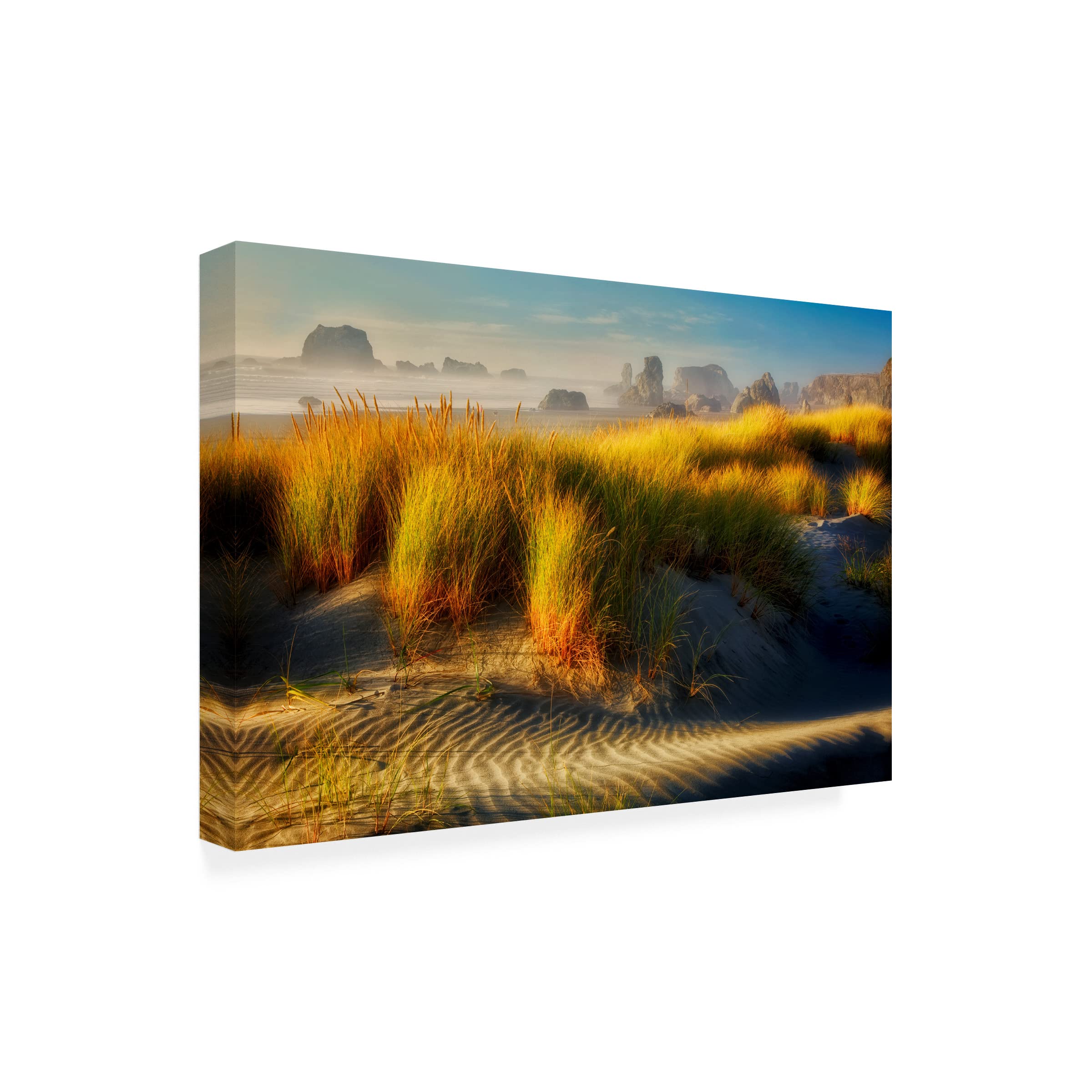 Dennis Frates 'Sea Grass 1' Canvas Wall Art Print - Coastal Beach Decor for Living Room, Bedroom & Office - Trademark Fine Art Collection