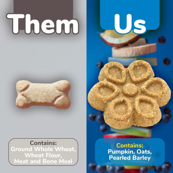 Fruitables Biggies Pumpkin & Blueberry Dog Treats - Healthy Natural Snacks for Large Breed Dogs - Perfect for Training, Rewards & Dental Health