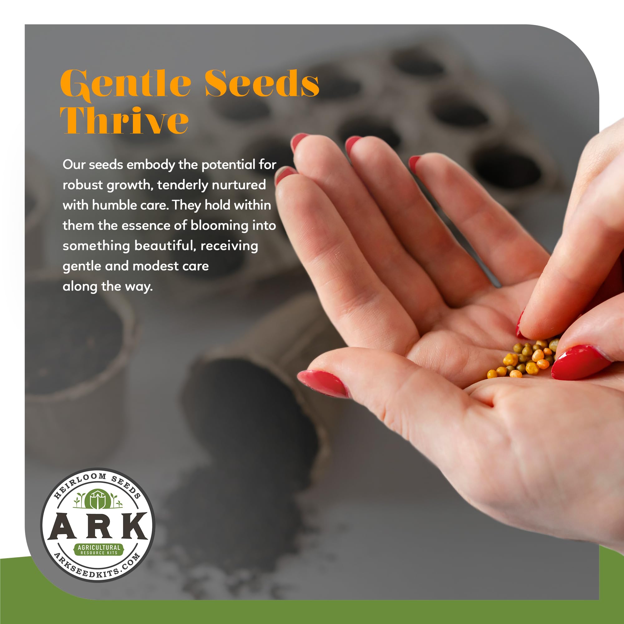 **Organic Heirloom Seed Kit - 70+ Varieties, 50,000+ Seeds - Non-GMO Fruits, Vegetables & Herbs for Home Gardening - Includes Culinary & Medicinal Herbs - Perfect for Backyard Farming, Urban Gardening & Sustainable Living**