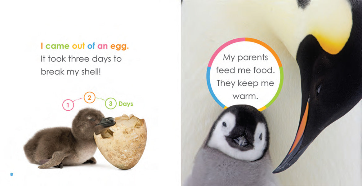 Baby Penguins Book - ISBN 9781640260788 - Perfect for Kids' Bedtime Stories & Early Learning