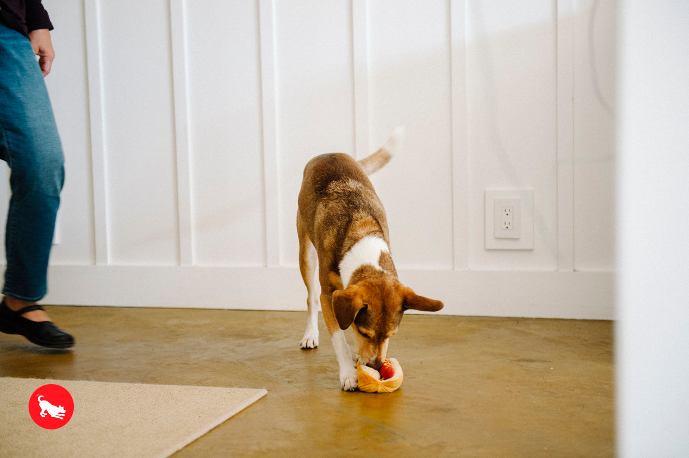American Classic® Hot Dog Plush Dog Toy by Pet P.L.A.Y. - Durable Chew Toy for Small & Large Dogs - Perfect for Fetch, Tug-of-War & Cuddling