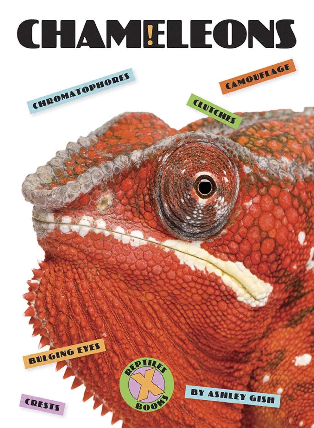 Chameleons Book - ISBN 9781640260795 - Perfect for Reptile Lovers & Science Education