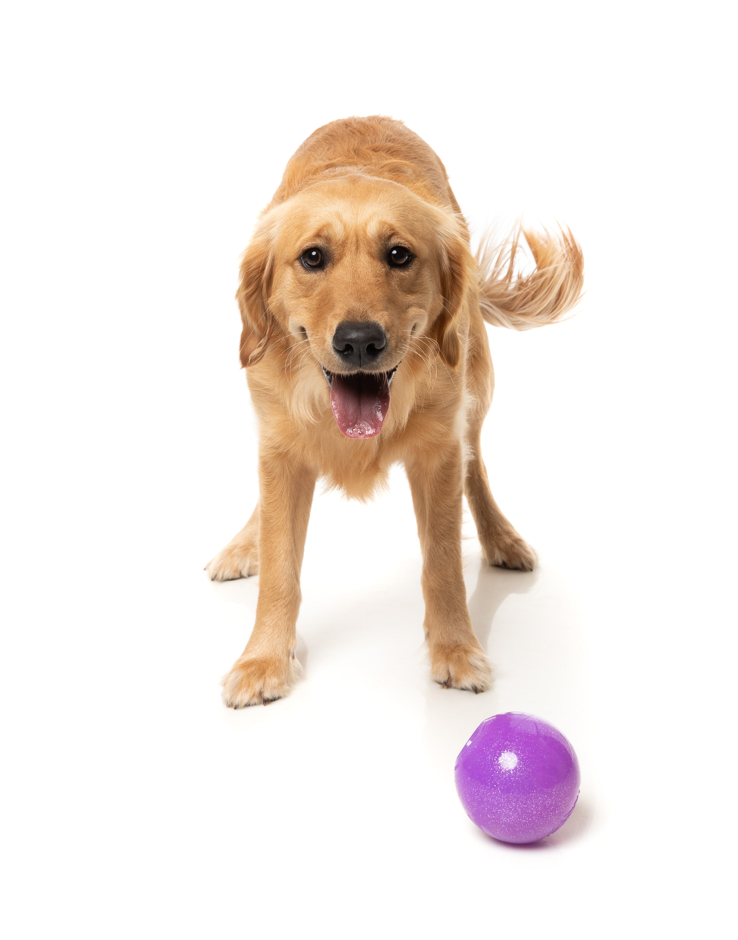 Fuzzyard Interactive Dog Chew Toy with Treat Dispenser - Truth Tellin' Treat Ball for Puppy Training & Mental Stimulation - Perfect for Boredom Relief & Playtime Fun