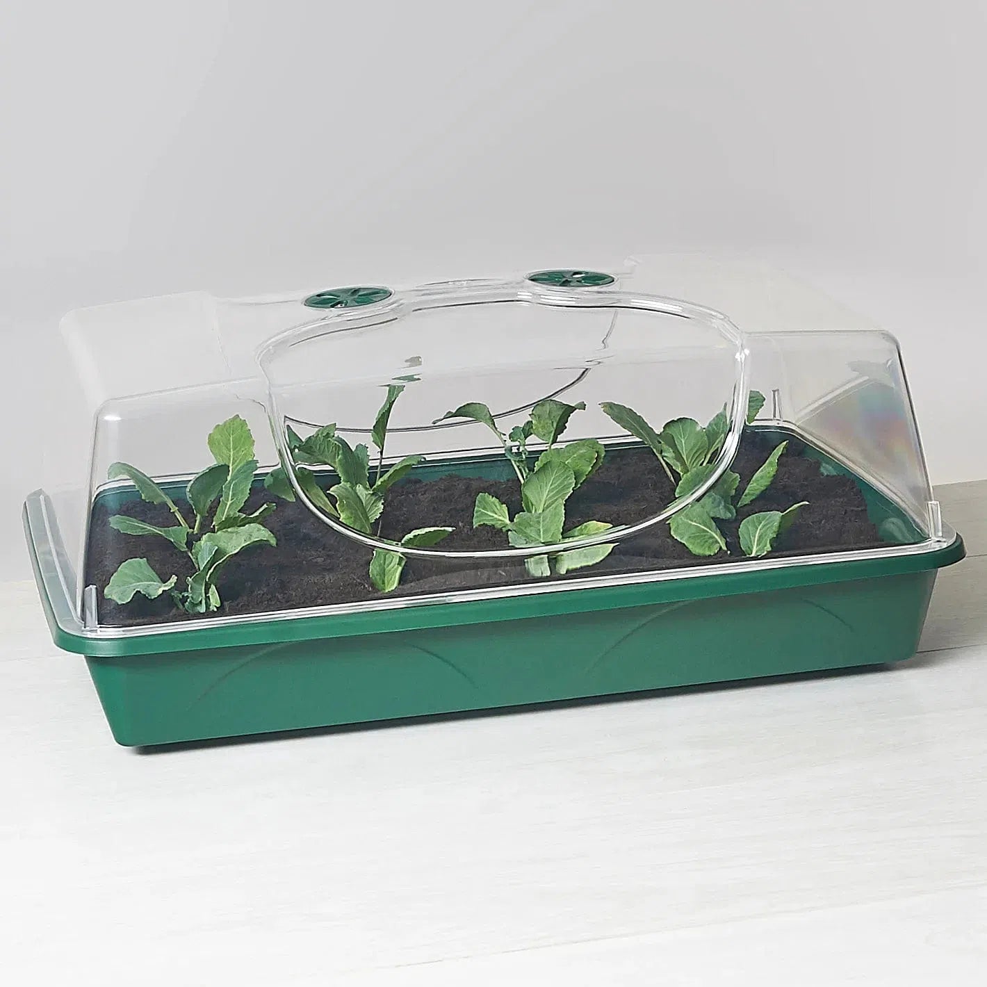 Large Domed Propagator for Seedlings - Indoor & Outdoor Plant Starter Kit with Humidity Control - Perfect for Gardening, Greenhouses, and Homegrown Vegetables