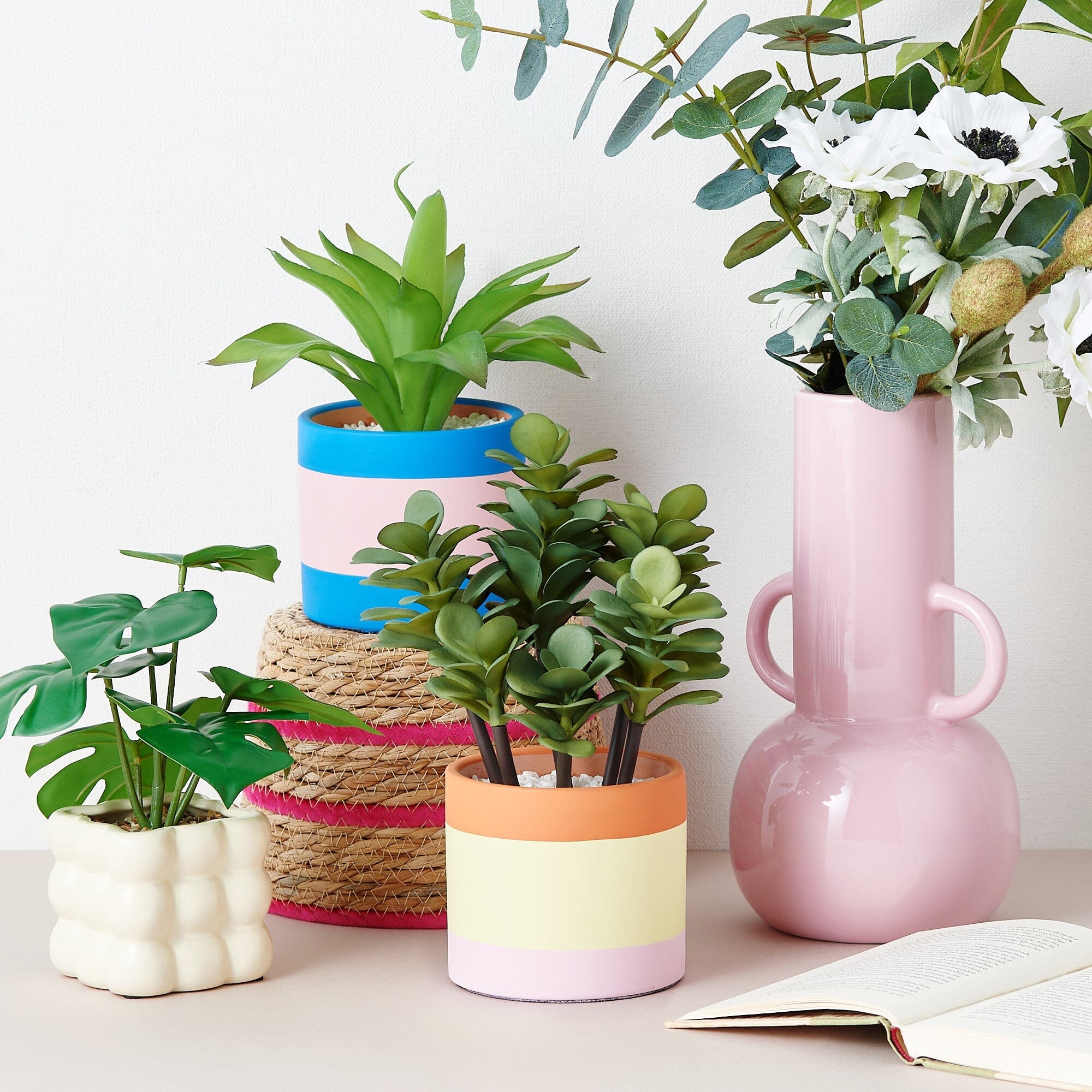 Art Green & Pot Succulents - Beautiful Live Succulent Plants for Home Decor, Office Desk, and Garden - Perfect for Indoor and Outdoor Planting