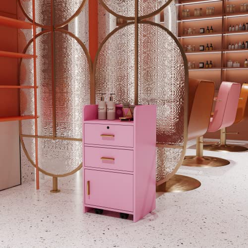Lockable Pink Beauty Salon Storage Cabinet with Hair Dryer Holders, 2 Drawers & 1 Cabinet - Styling Station for Salon, Spa & Barber Shop | Perfect for Organizing Tools, Styling Products & Equipment
