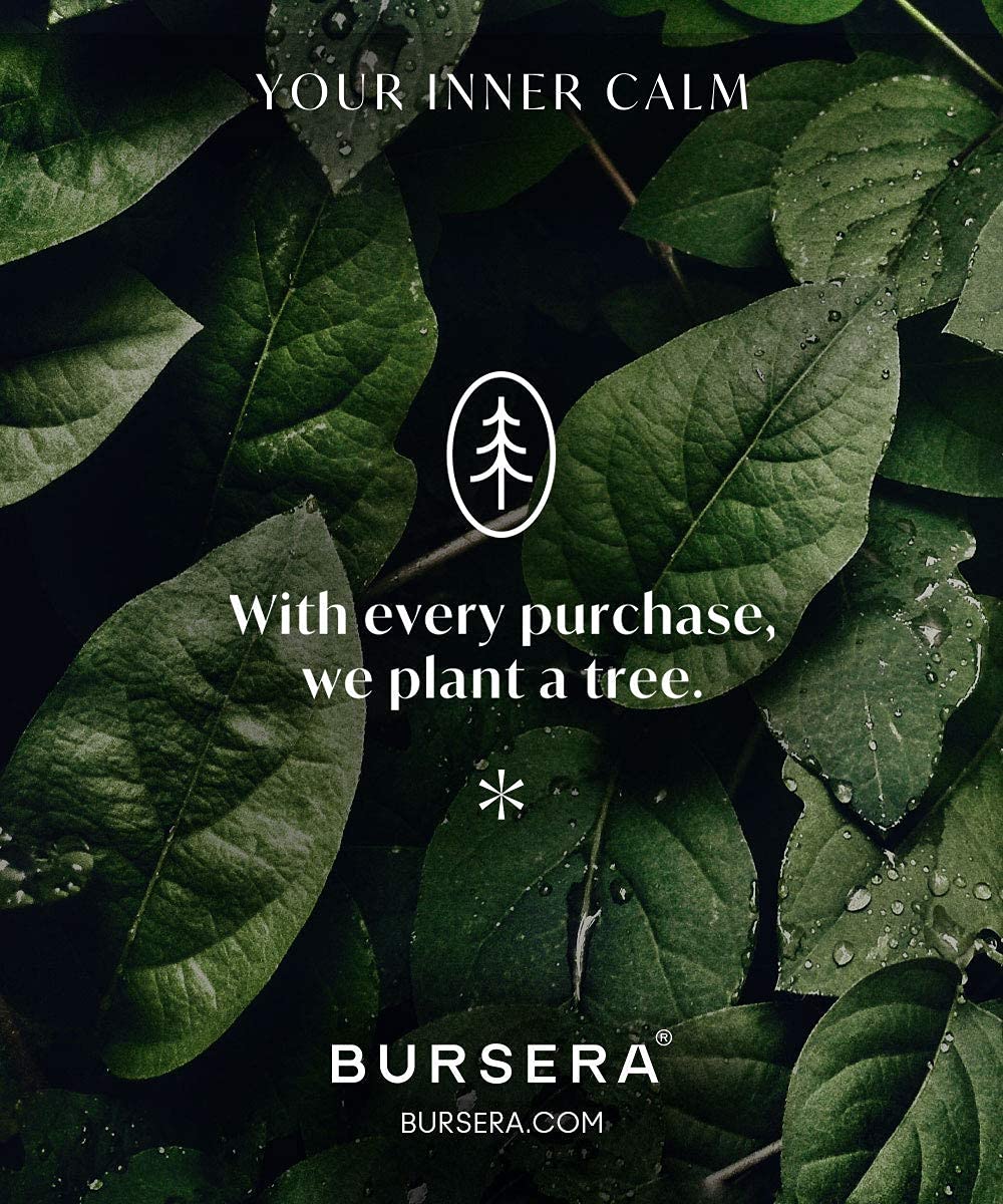 Bursera Vulcan Ceramic Bowl - Eco-Friendly Decorative Bowl with Side Slot for Matches | Smudging Burn Bowl for Sage & Palo Santo | Candle Holder & Matchstick Organizer | Perfect for Meditation, Yoga & Home Decor (Tree Planted with Every Order)